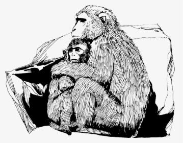 Monkey And Its Baby Sketch, HD Png Download, Transparent PNG