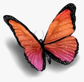Happiness , Png Download - Blue Butterfly With Shadow, Transparent Png, Transparent PNG