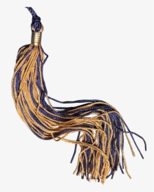 Navy And Gold Graduation Tassel - Insect, HD Png Download, Transparent PNG