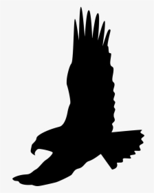 Flying Eagle Symbol Clipart , Png Download - Portable Network Graphics, Transparent Png, Transparent PNG