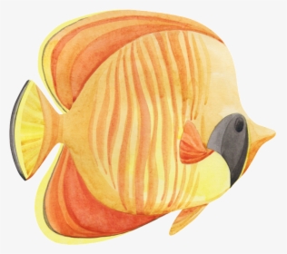 Hand Painted A Tropical Fish Png Transparent, Png Download, Transparent PNG