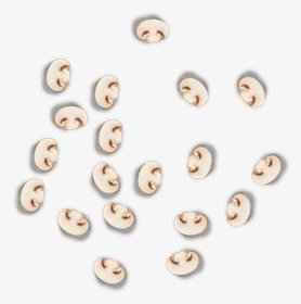 Bead, HD Png Download, Transparent PNG