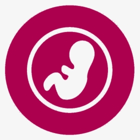 Planning For A Baby - Circle, HD Png Download, Transparent PNG