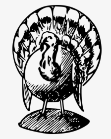 Turkey Bw - Transparent Black And White Turkey Clipart, HD Png Download, Transparent PNG