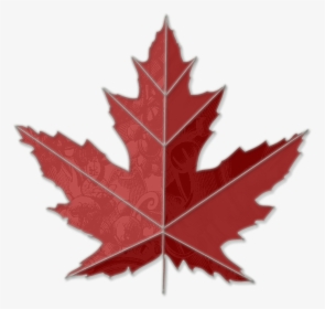 Images Of Maple Leaves - Toronto Maple Leaf Tree, HD Png Download, Transparent PNG