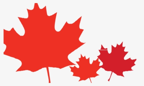Transparent Canadian Leaf Png - Maple Leaf Clipart Border, Png Download, Transparent PNG