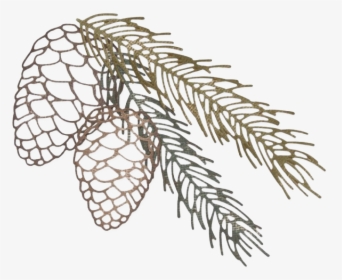 Pine Branch Png Clipart - Sizzix Pine Cone Die, Transparent Png, Transparent PNG