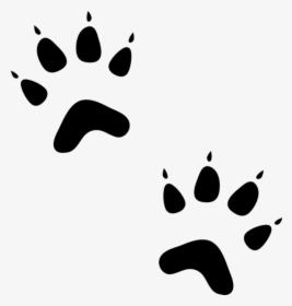 Cat Animal Paw Prints, HD Png Download, Transparent PNG