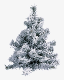 Christmas Tree With Snow And Pinecones, HD Png Download, Transparent PNG