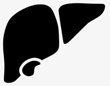 Liver - Liver Icon Png, Transparent Png, Transparent PNG