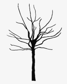 Tree Trunk Silhouette Png, Transparent Png, Transparent PNG
