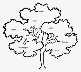 Family Reunion Family Tree Clipart, HD Png Download, Transparent PNG