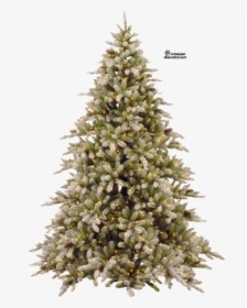Free Png Fir-tree Png Pic Png Images Transparent - Gold Christmas Tree Png, Png Download, Transparent PNG