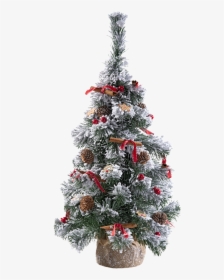 Snowy Christmas Tree, 60cm - Snowy Christmas Tree, HD Png Download, Transparent PNG