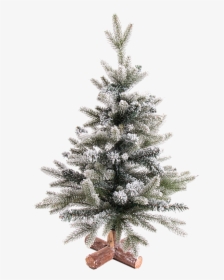 Christmas Tree Snowy, - Weihnachtsbaum Mit Schnee 60 Cm, HD Png Download, Transparent PNG