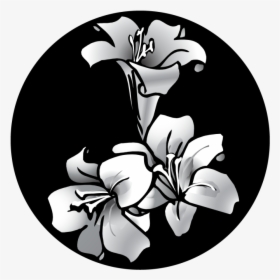 Apollo Easter Lily Glass Gobo Sr-2505 , Png Download - Black And White Easter Lily, Transparent Png, Transparent PNG