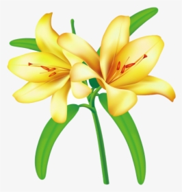 Lilium Png Free Download - Yellowbell Flower Clipart, Transparent Png, Transparent PNG