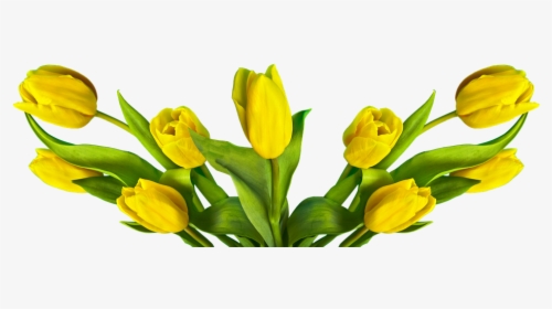 Transparent Easter Flowers Png - Tulipa Amarela Png, Png Download, Transparent PNG
