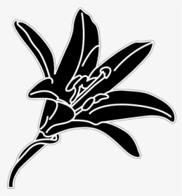 Flower Silhouette Of Lilly - Lily, HD Png Download, Transparent PNG