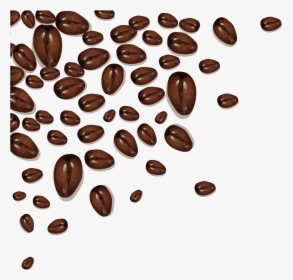 Coffee Bean Cafe Cocoa Bean - Cocoa Bean Clipart, HD Png Download, Transparent PNG