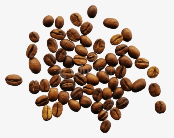 Transparent Rice And Beans Clipart - Beans Transparent Coffee Png, Png Download, Transparent PNG