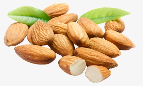 Almonds Png , Png Download - Almond Png, Transparent Png, Transparent PNG