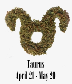 Stoner Aries Monthly Horoscope - Poster, HD Png Download, Transparent PNG