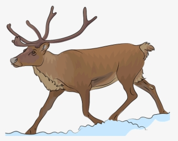 Free Clipart Reindeer, HD Png Download, Transparent PNG