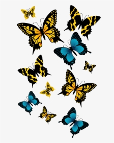 Butterflies Png High-quality Image - Beautiful Hd Butterfly Png, Transparent Png, Transparent PNG