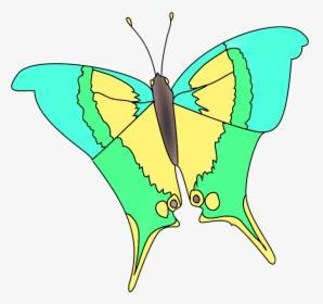 Marpesialole Butterfly Fantasy Colors, HD Png Download, Transparent PNG