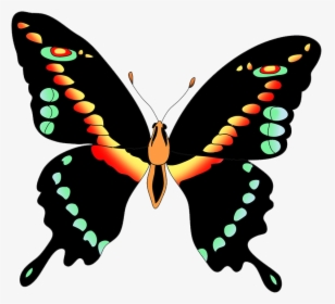 Black Swallow Tail Butterfly Clipart - Colorful Beautiful Butterfly Butterfly Clipart, HD Png Download, Transparent PNG