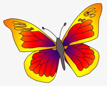 Red Orange Butterfly Clipart - Orange And Red Butterfly, HD Png Download, Transparent PNG
