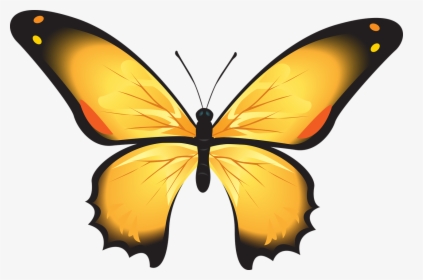 Yellow Butterfly Clipart 15, Buy Clip Art - Structure Of Butterfly, HD Png Download, Transparent PNG
