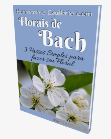Harmonia E Equilíbrio Com Florais De Bach - Rosa Rubiginosa, HD Png Download, Transparent PNG