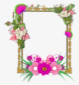 Flower Border Design Frame, HD Png Download, Transparent PNG
