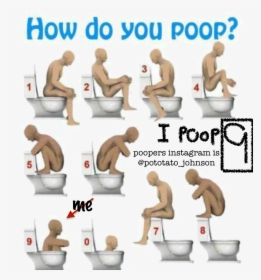 Different Kinds Of Pooping, HD Png Download, Transparent PNG
