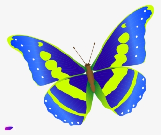 Butterfly Vector Free, HD Png Download, Transparent PNG