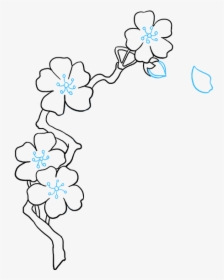 How To Draw Cherry Blossoms - Drawings Of Cherry Blossom, HD Png Download, Transparent PNG