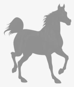 Shire Horse Black Royalty-free Clip Art - Horse Silhouette White Png, Transparent Png, Transparent PNG
