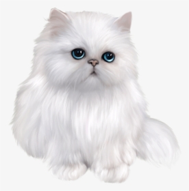 Transparent Cat Clipart - Persian Cat Clipart, HD Png Download, Transparent PNG