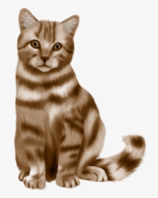 Cute Cat Png Picture - Cat, Transparent Png, Transparent PNG