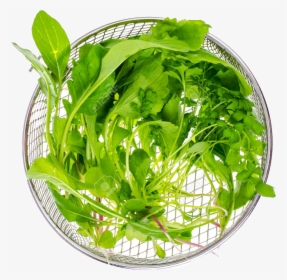 Vegetable Green Leaves Png Free Download - Water Spinach, Transparent Png, Transparent PNG