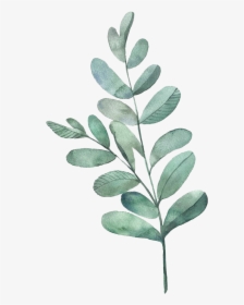Watercolour Green Leaves Png , Png Download - Watercolor Leaves Transparent Background, Png Download, Transparent PNG