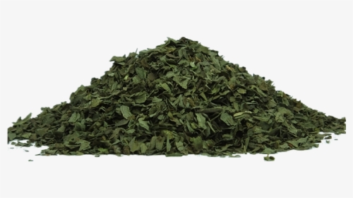 Green Tea - Dried Tea Leaves Png, Transparent Png, Transparent PNG