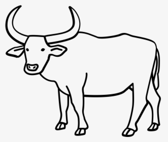 Water Coloring Page Adult - Carabao Black And White Clipart, HD Png Download, Transparent PNG