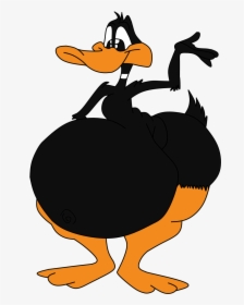 Fat Daffy Duck, HD Png Download, Transparent PNG