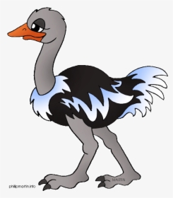 Cartoon Picture Of Ostrich - Ostrich Sentence In English, HD Png Download, Transparent PNG