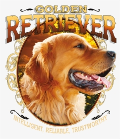 Transparent Golden Retriever Png - Golden Retriever Dog Hd Mobile, Png Download, Transparent PNG