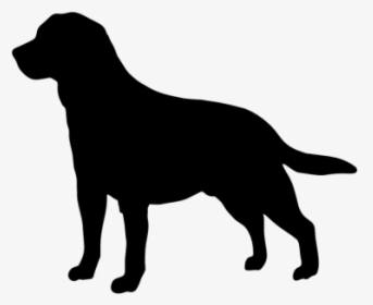 Labrador Retriever Golden Retriever Beagle Clip Art - Labrador Retriever Silhouette, HD Png Download, Transparent PNG