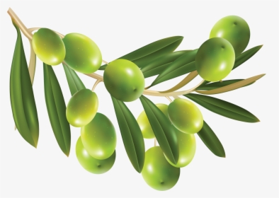 Olives Png Image - Olives Png, Transparent Png, Transparent PNG